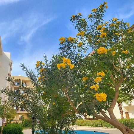 Apartments 1000 And 1 Night Redsealine Hurghada Exteriör bild
