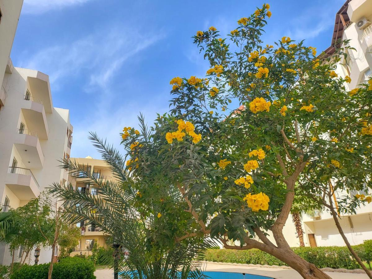 Apartments 1000 And 1 Night Redsealine Hurghada Exteriör bild