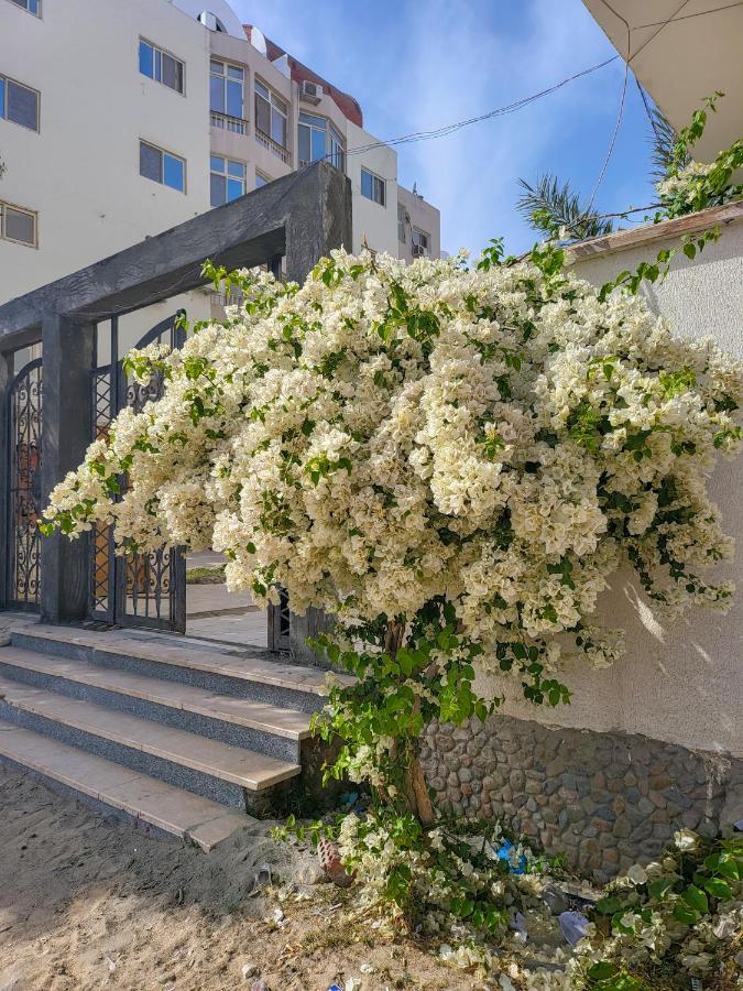 Apartments 1000 And 1 Night Redsealine Hurghada Exteriör bild